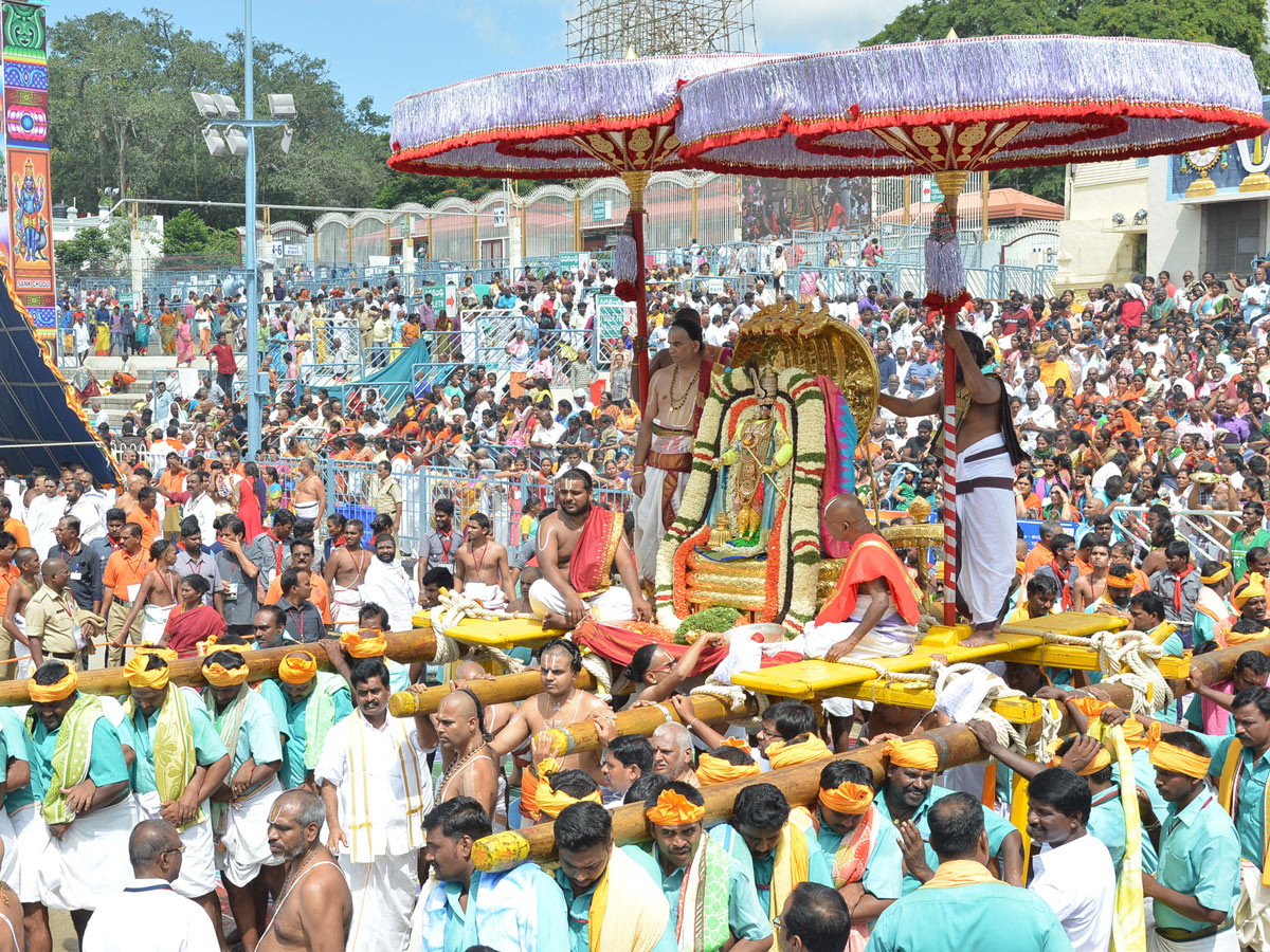 Bramotsavams Sri vari Chinnasesha Vahana at Tirumala Photo Gallery - Sakshi16