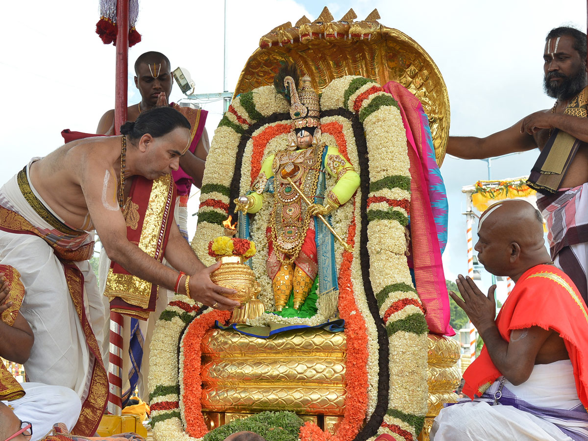 Bramotsavams Sri vari Chinnasesha Vahana at Tirumala Photo Gallery - Sakshi2