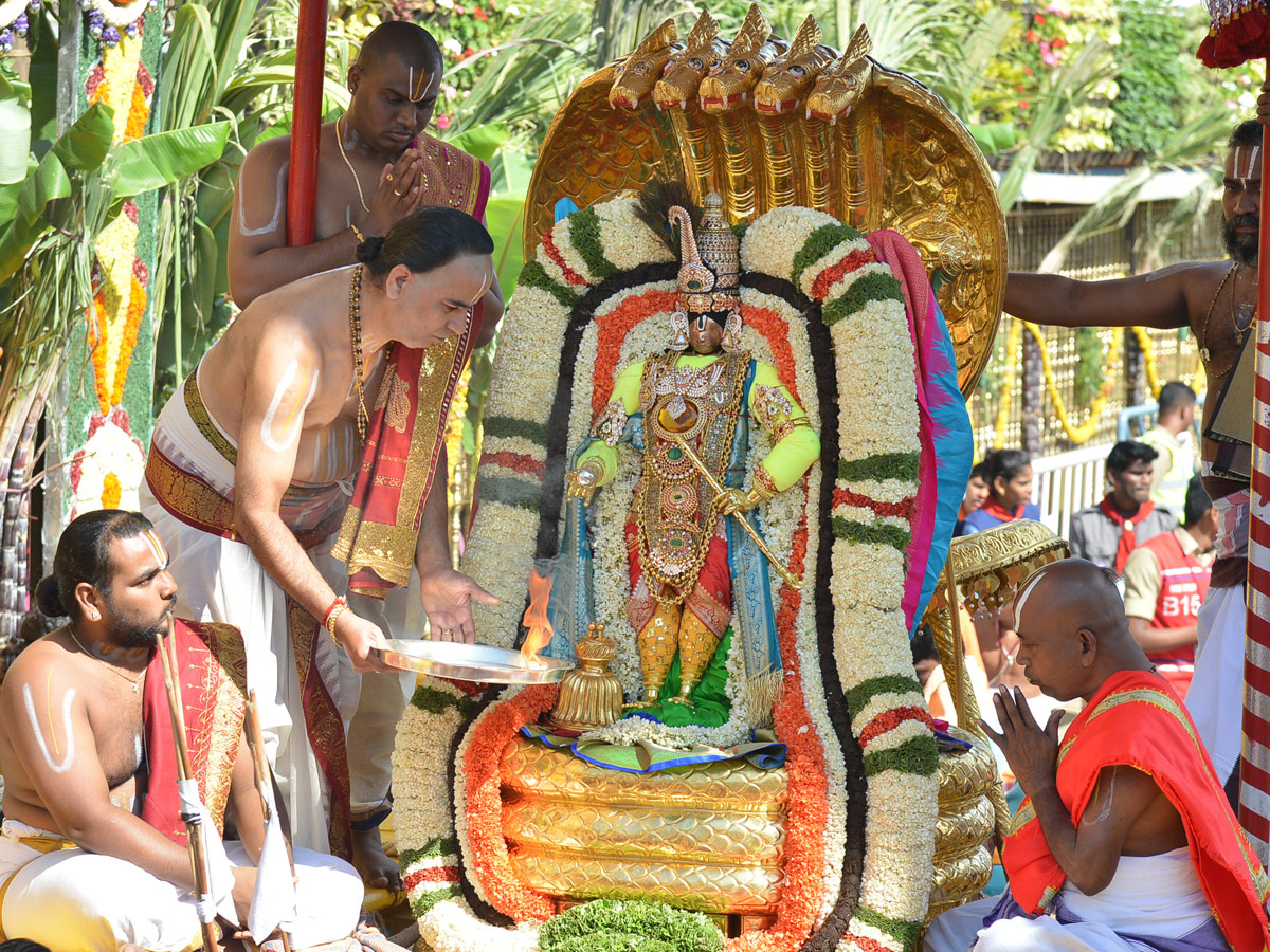 Bramotsavams Sri vari Chinnasesha Vahana at Tirumala Photo Gallery - Sakshi25