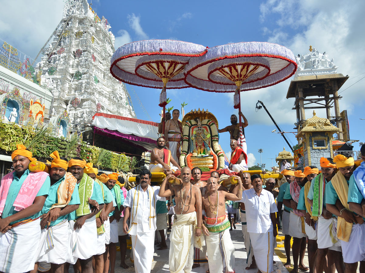 Bramotsavams Sri vari Chinnasesha Vahana at Tirumala Photo Gallery - Sakshi40