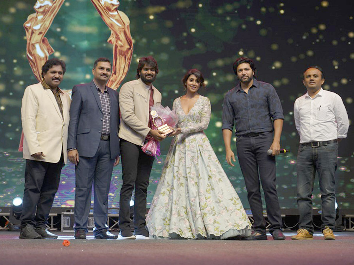  Santosham South Indian Film Awards 2019 PHoto Gallery - Sakshi2