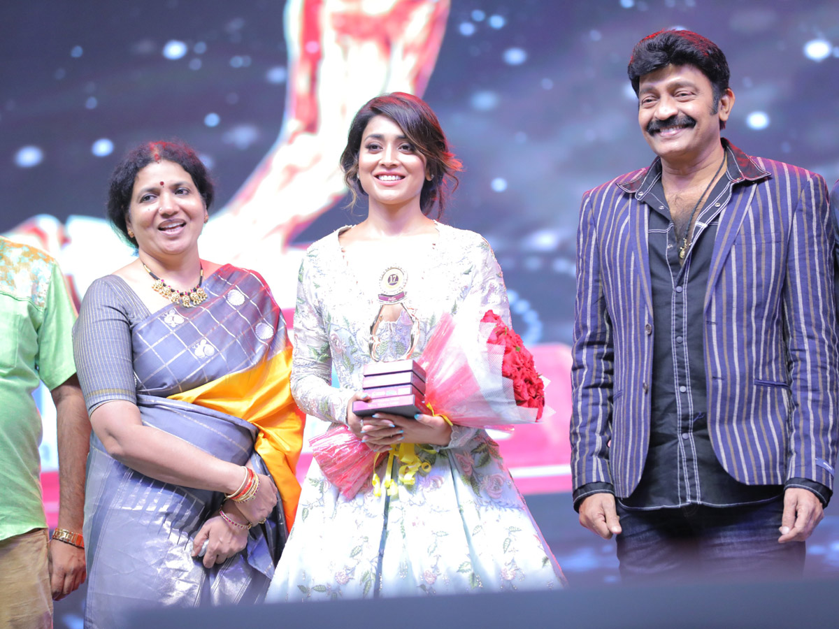  Santosham South Indian Film Awards 2019 PHoto Gallery - Sakshi17