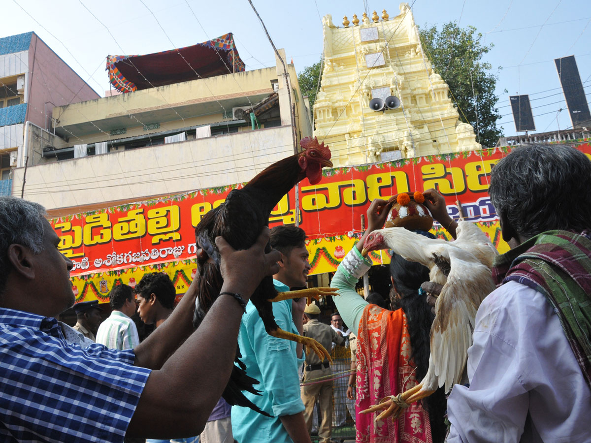 Paiditalli Ammavari Sirimanotsavam In Vizianagaram Photo Gallery - Sakshi17