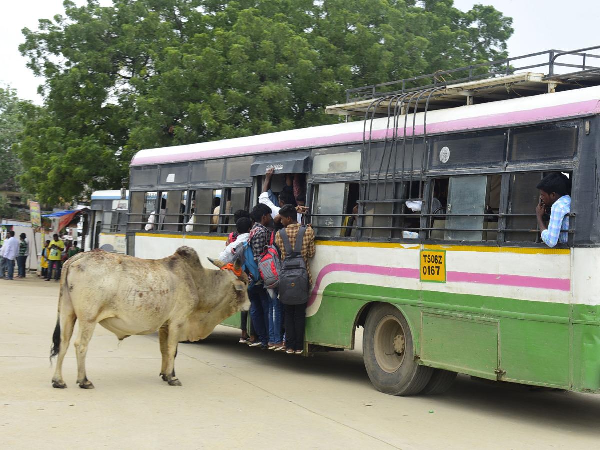  Best Photos of The Week in AP and Telangana october 27 -10-2019 to November 03 -11- 2019 - Sakshi39