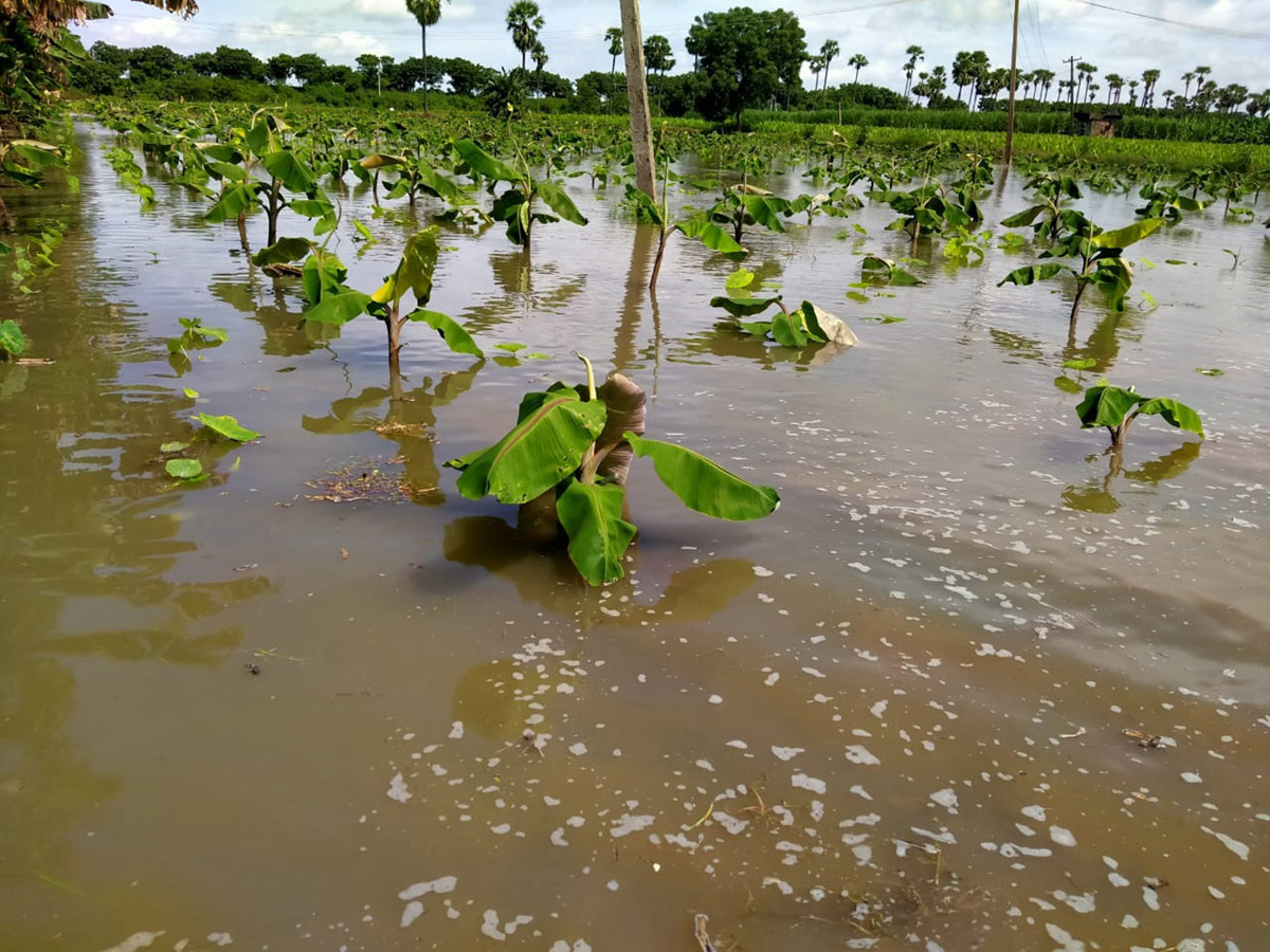 Heavy Flood Water Reaches Godavari and Krishna Rivers Photo Gallery - Sakshi18