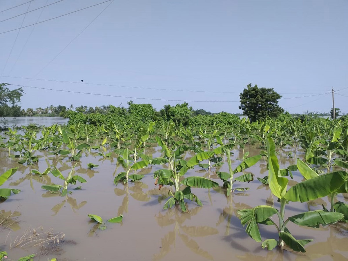 Heavy Flood Water Reaches Godavari and Krishna Rivers Photo Gallery - Sakshi19