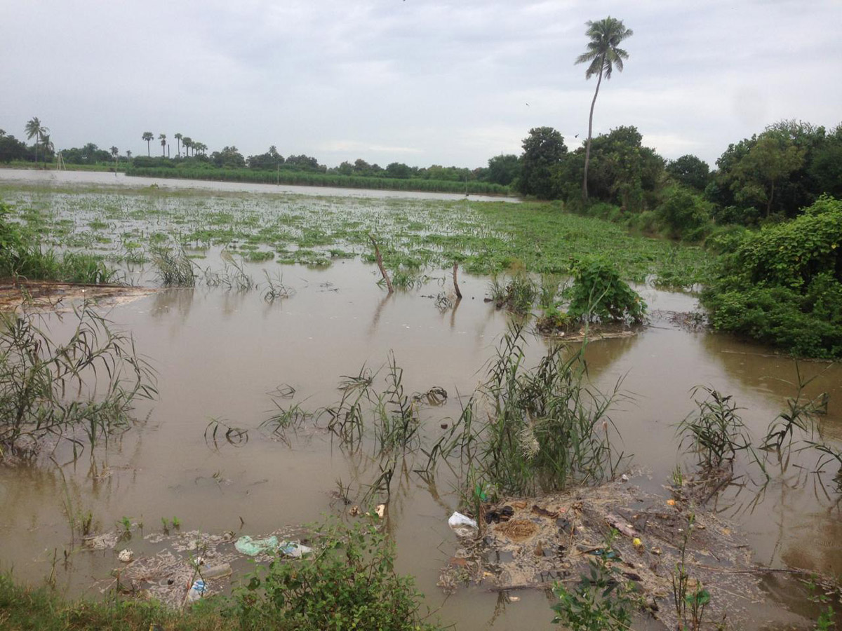 Heavy Flood Water Reaches Godavari and Krishna Rivers Photo Gallery - Sakshi29