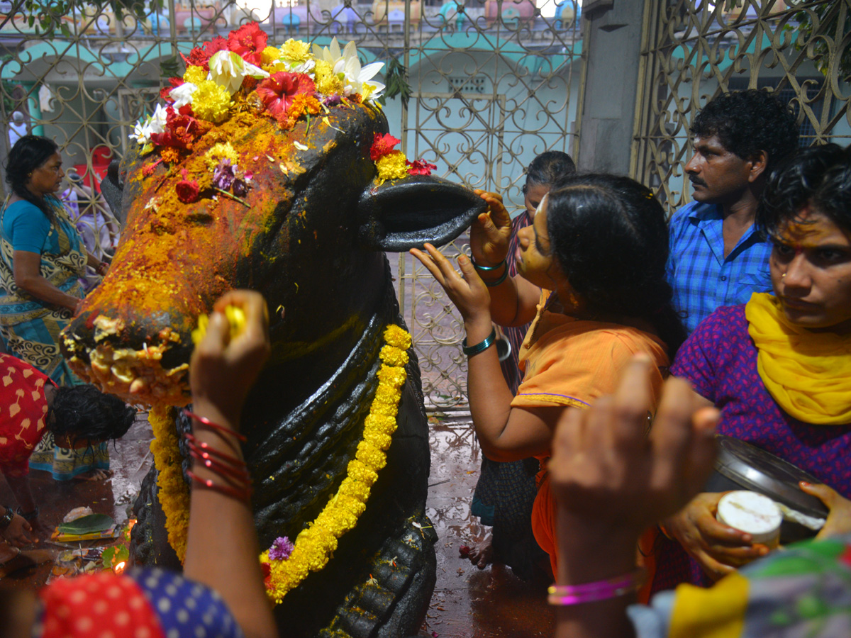 Karthika Masam Celebrations at Pushkar Ghat Rajahmundry Photo Gallery - Sakshi12