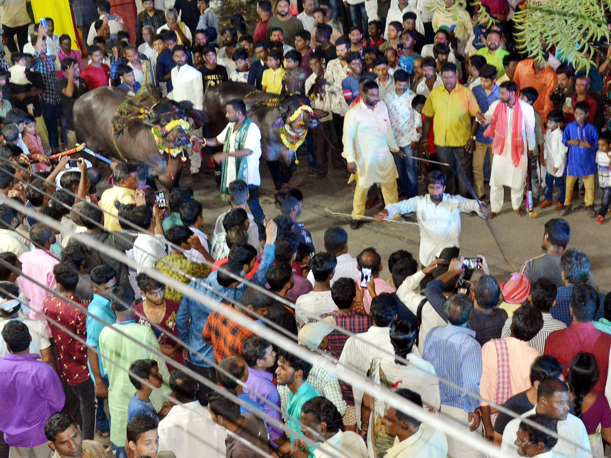 Sadar Festival Celebrations In Hyderabad Photo Gallery - Sakshi13