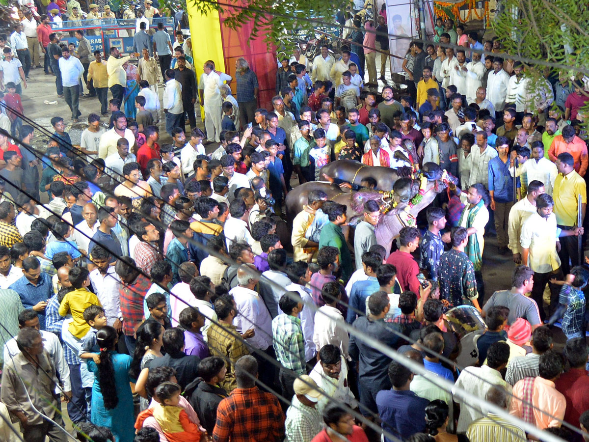 Sadar Festival Celebrations In Hyderabad Photo Gallery - Sakshi14