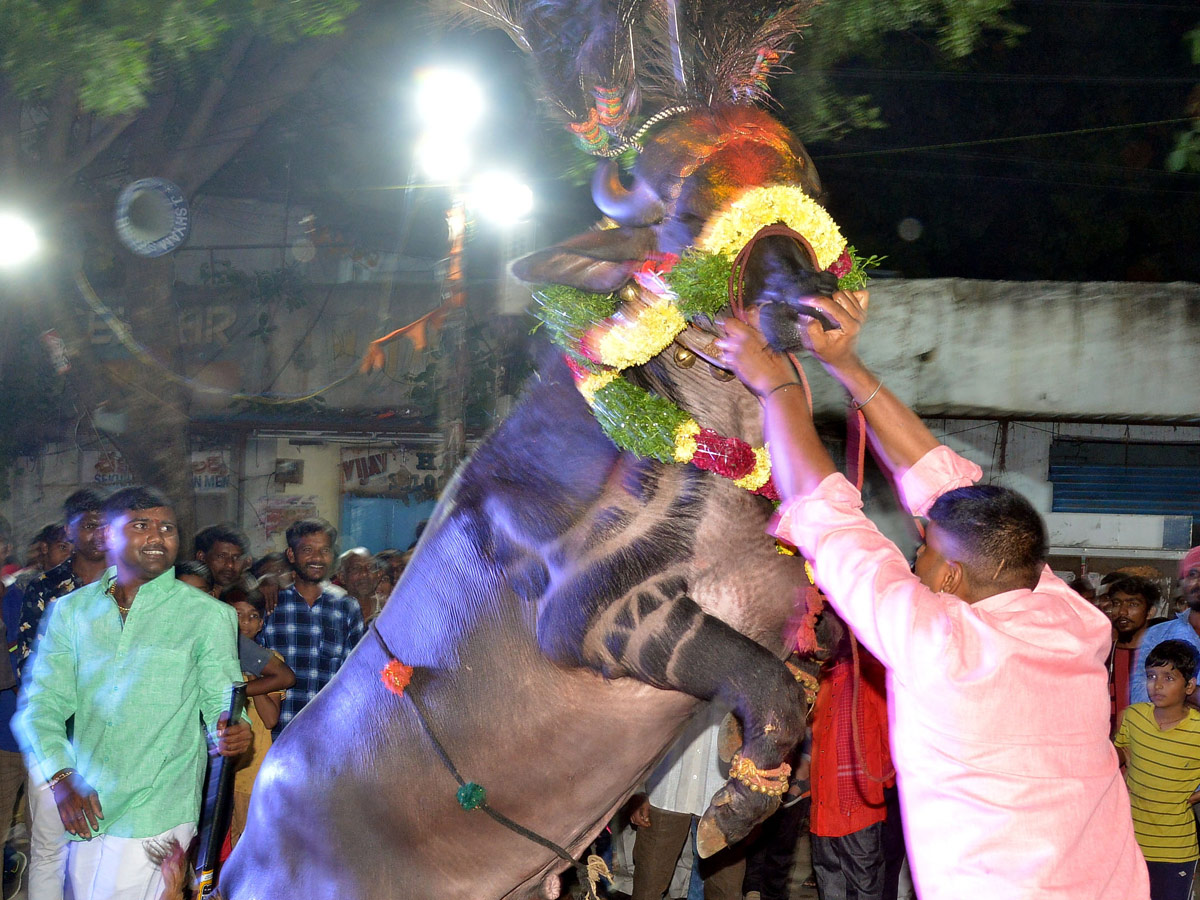 Sadar Festival Celebrations In Hyderabad Photo Gallery - Sakshi4