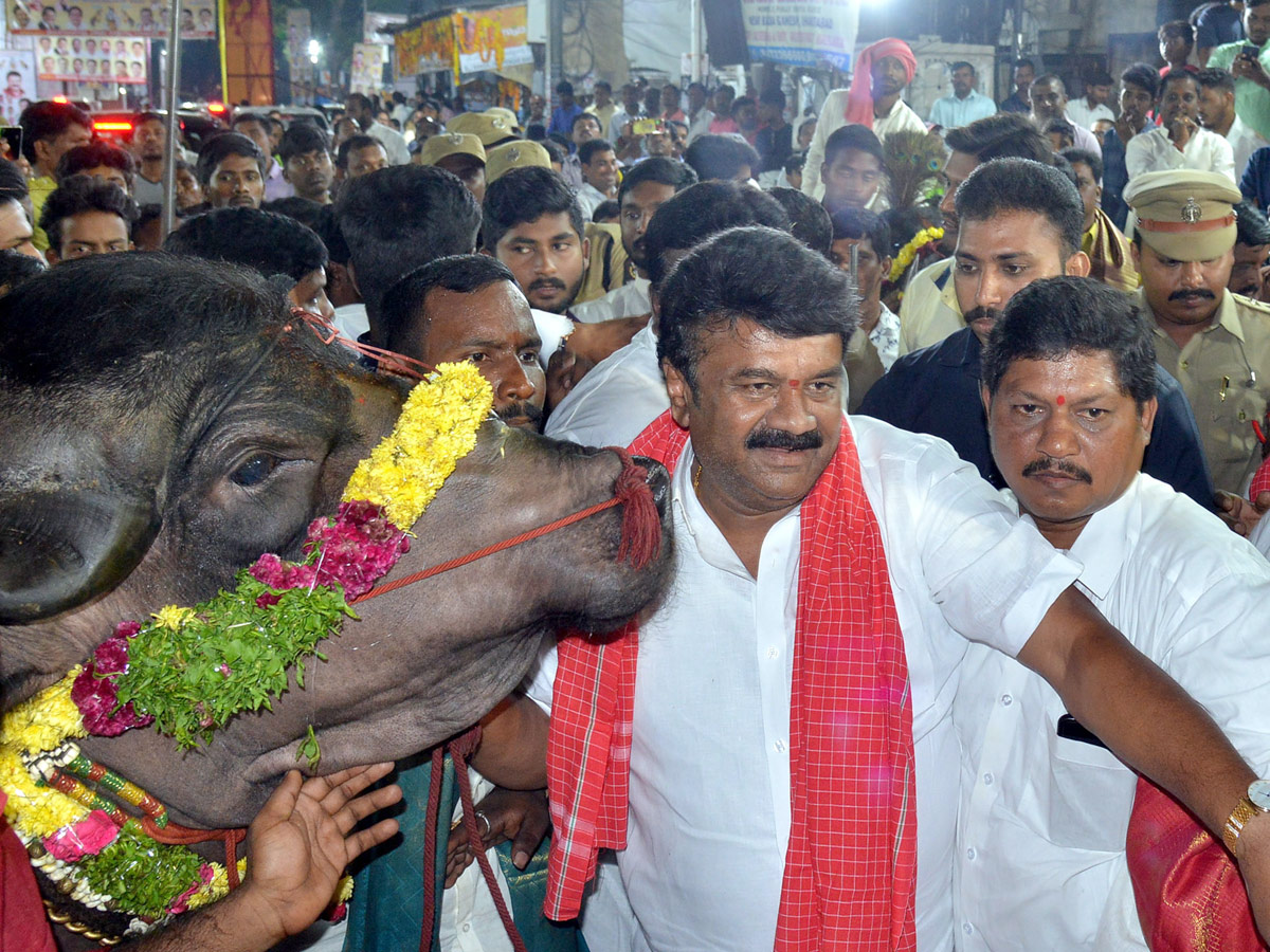 Sadar Festival Celebrations In Hyderabad Photo Gallery - Sakshi7