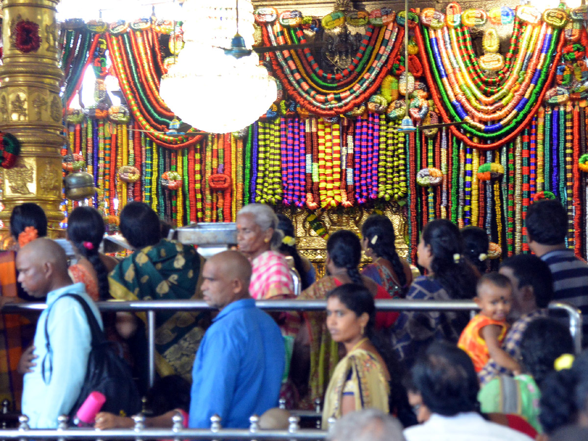 Vijayawada Kanaka Durgamma Gajula Mahotsavam Photo Gallery - Sakshi2