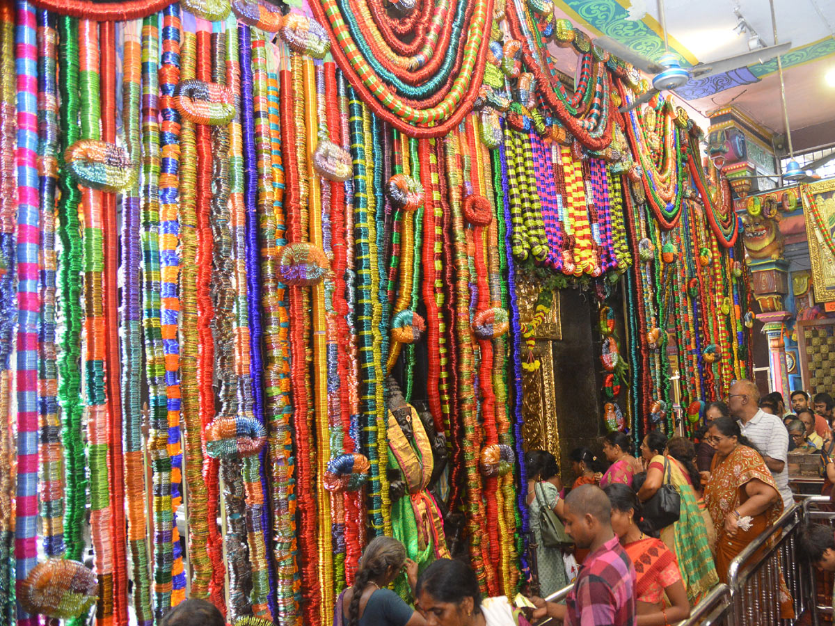 Vijayawada Kanaka Durgamma Gajula Mahotsavam Photo Gallery - Sakshi3