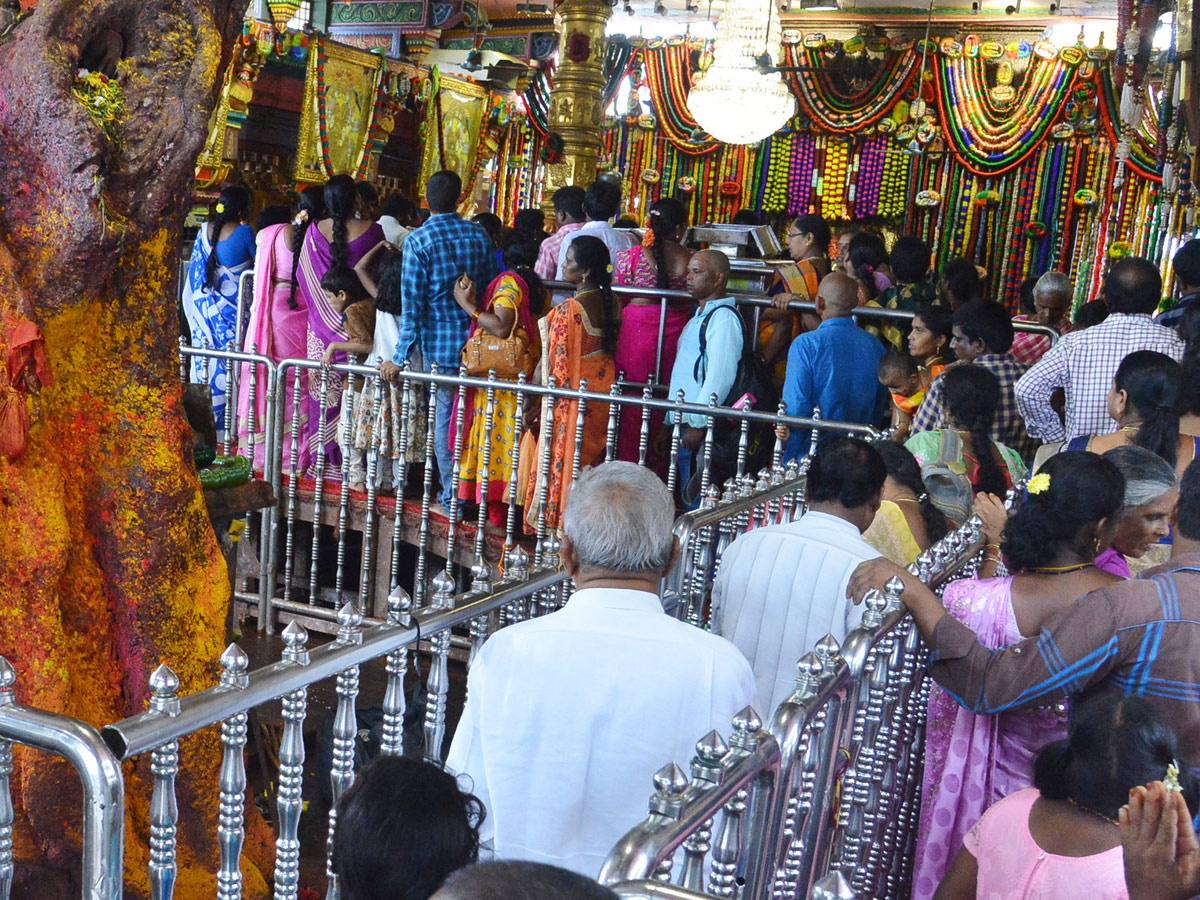 Vijayawada Kanaka Durgamma Gajula Mahotsavam Photo Gallery - Sakshi7