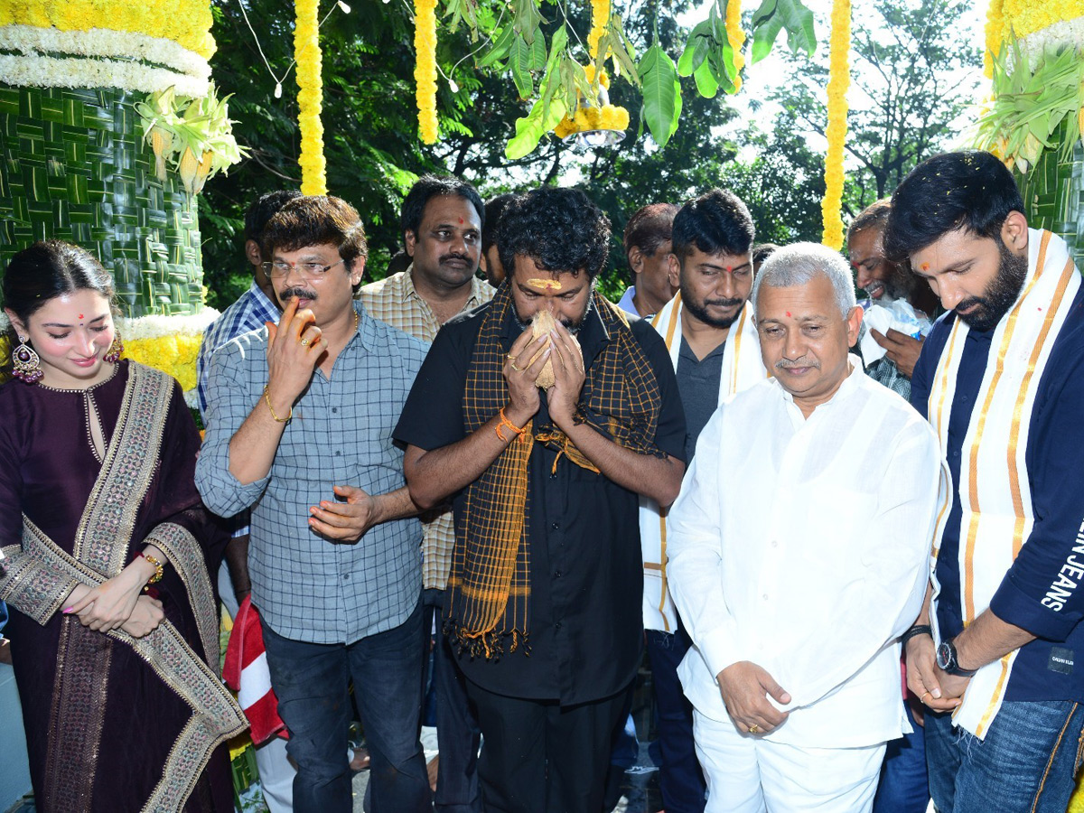 Gopichand Tamanna New Film Launched Photo Gallery - Sakshi4