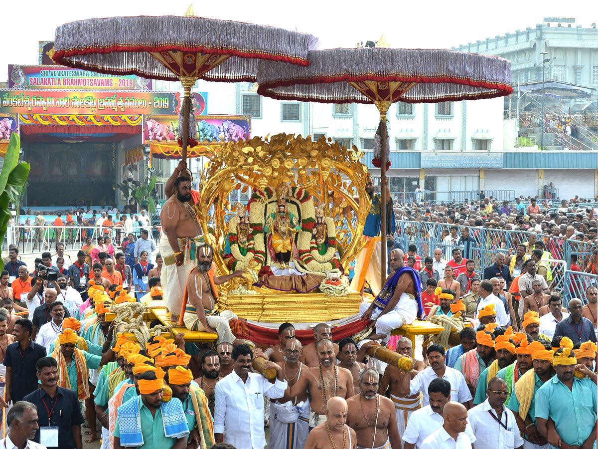 Tirumala Brahmotsavam Srivaru On Kalpavriksha Vahanam Photo Gallery  - Sakshi1