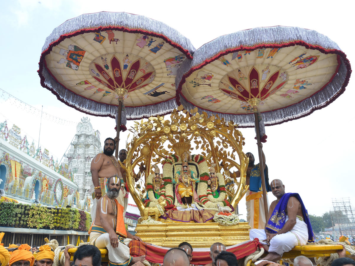 Tirumala Brahmotsavam Srivaru On Kalpavriksha Vahanam Photo Gallery  - Sakshi11