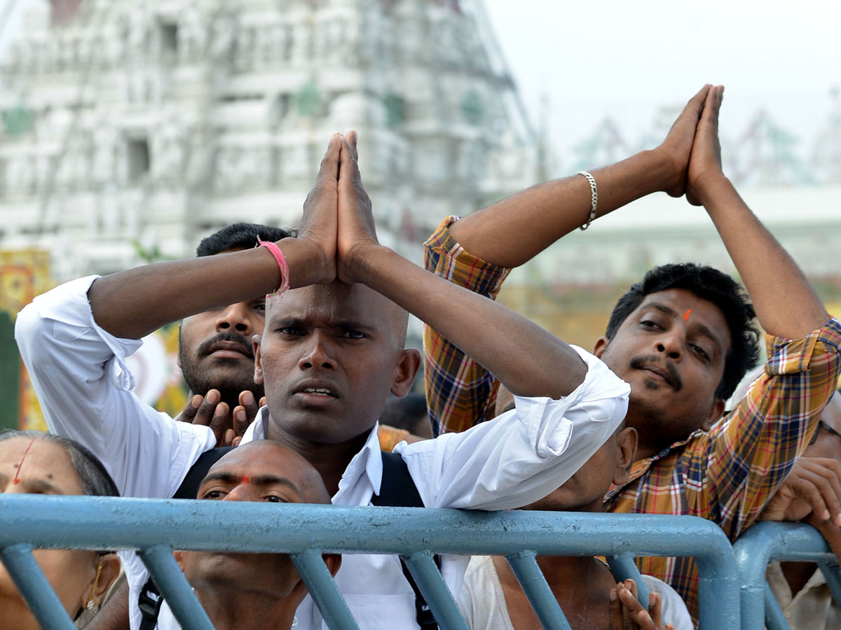 Tirumala Brahmotsavam Srivaru On Kalpavriksha Vahanam Photo Gallery  - Sakshi13