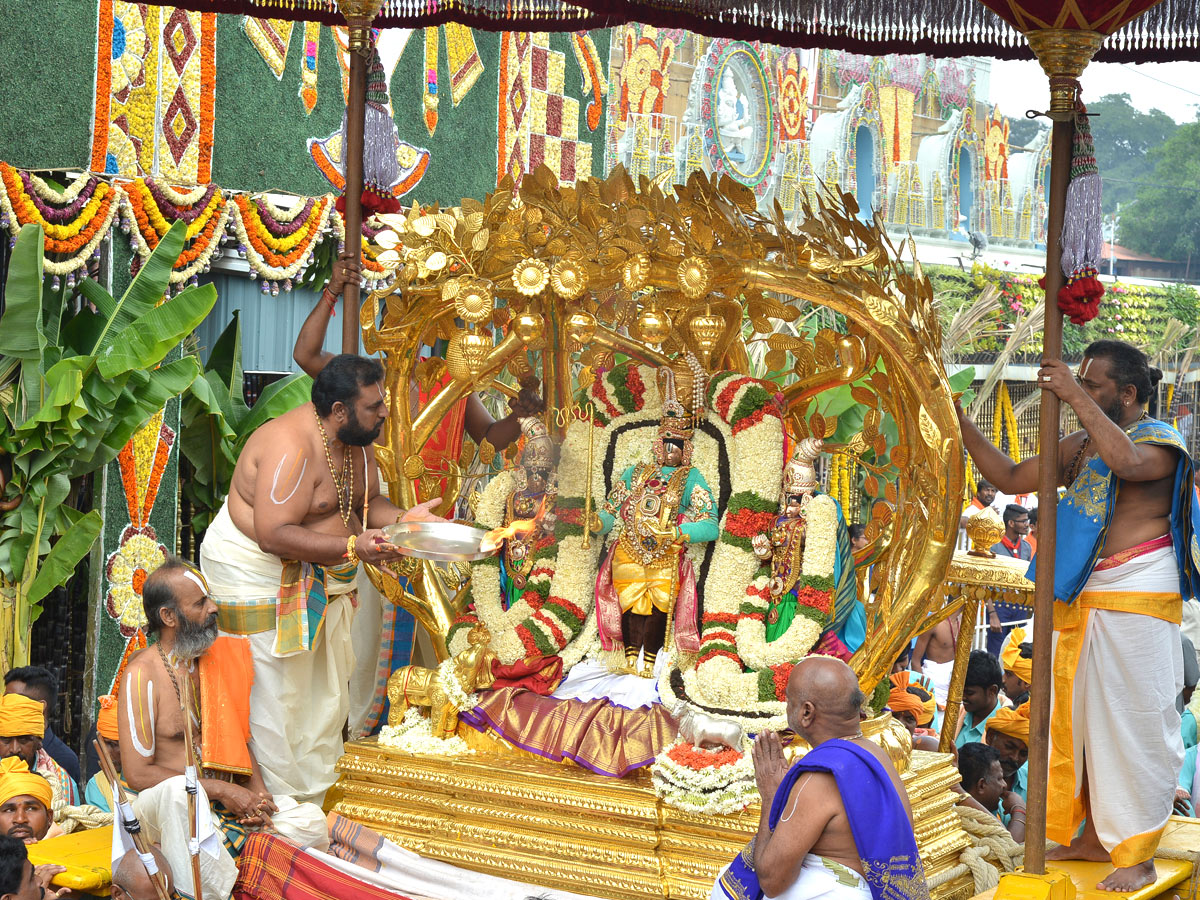 Tirumala Brahmotsavam Srivaru On Kalpavriksha Vahanam Photo Gallery  - Sakshi2