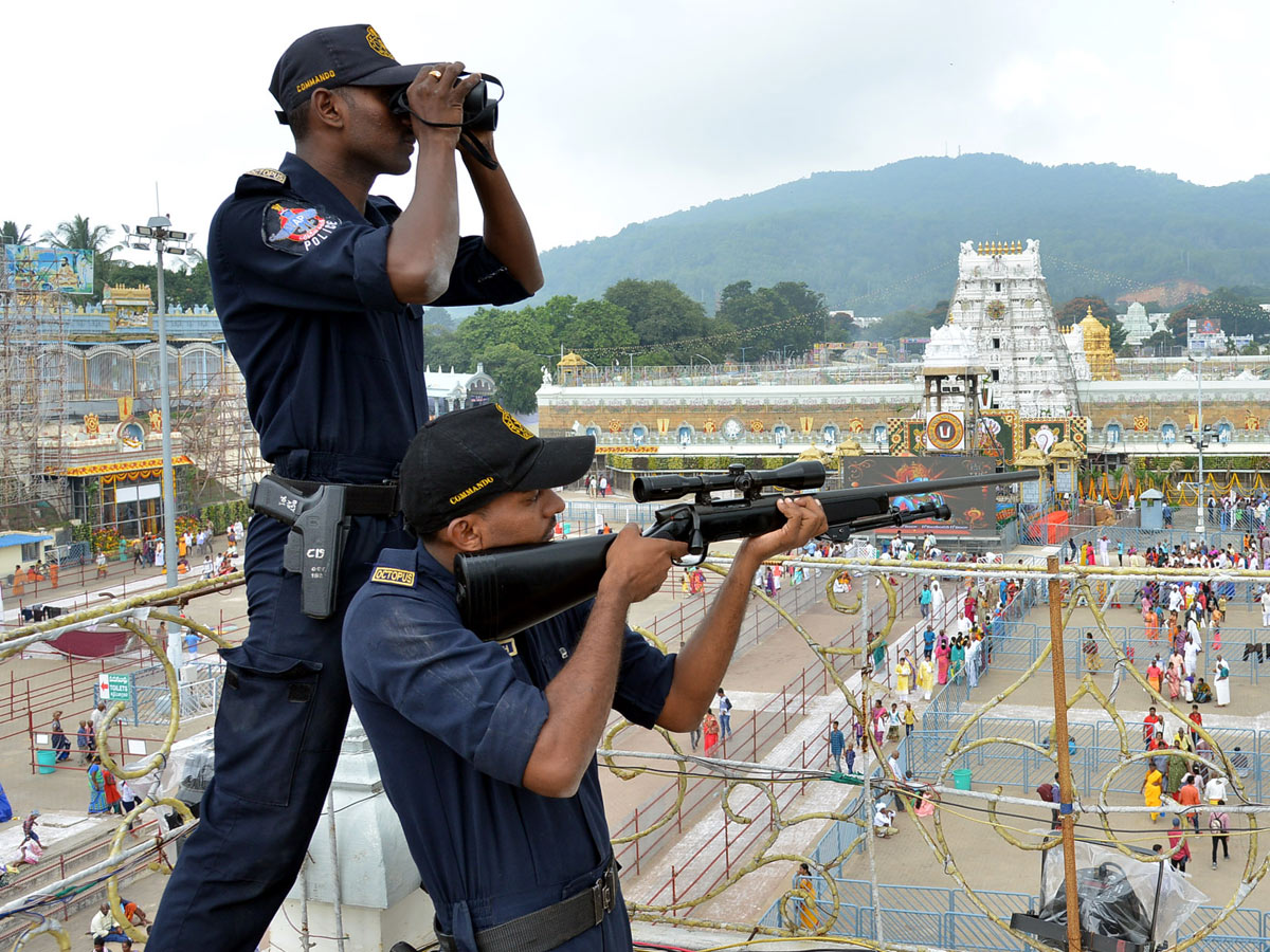 Tirumala Brahmotsavam Srivaru On Kalpavriksha Vahanam Photo Gallery  - Sakshi21