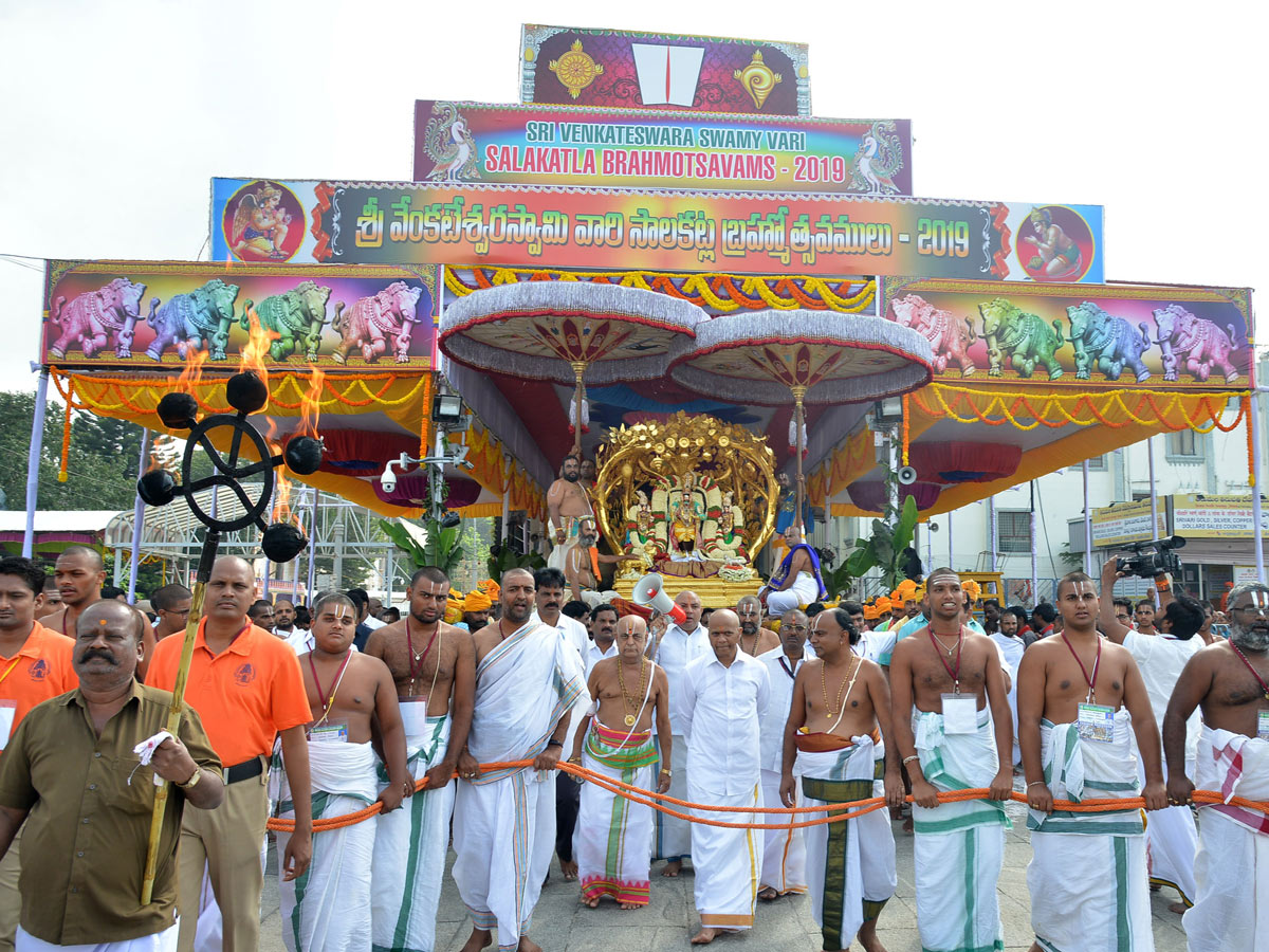 Tirumala Brahmotsavam Srivaru On Kalpavriksha Vahanam Photo Gallery  - Sakshi31