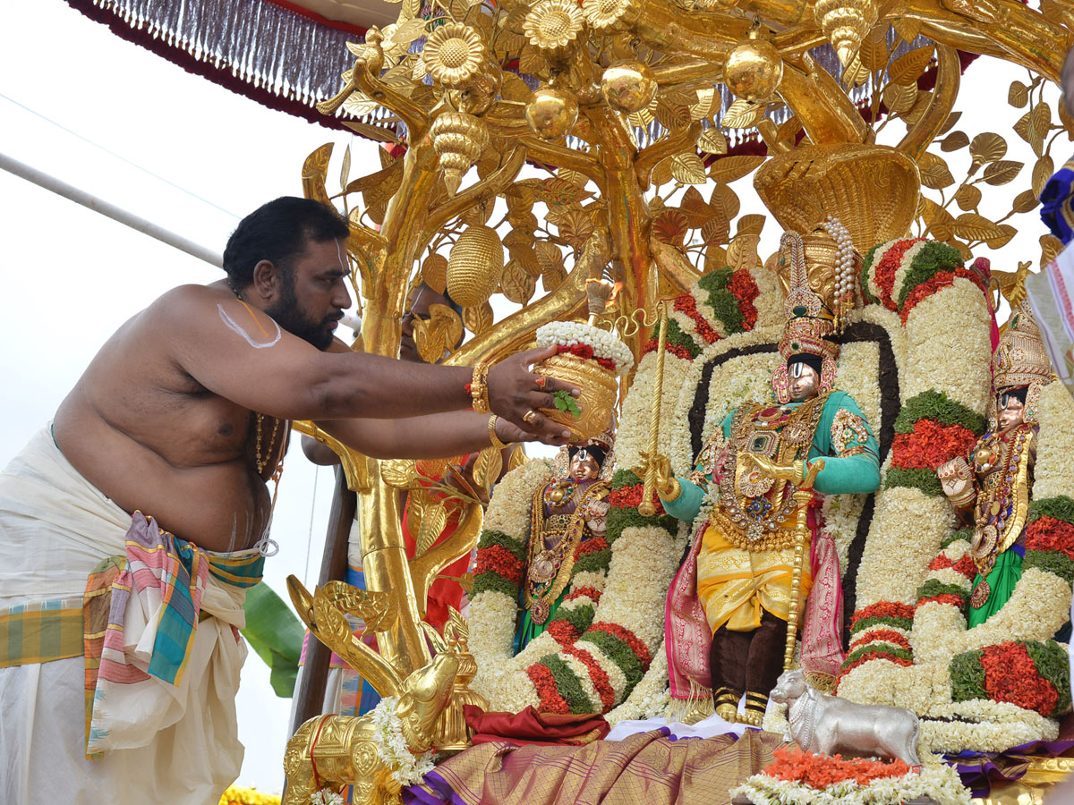 Tirumala Brahmotsavam Srivaru On Kalpavriksha Vahanam Photo Gallery  - Sakshi32