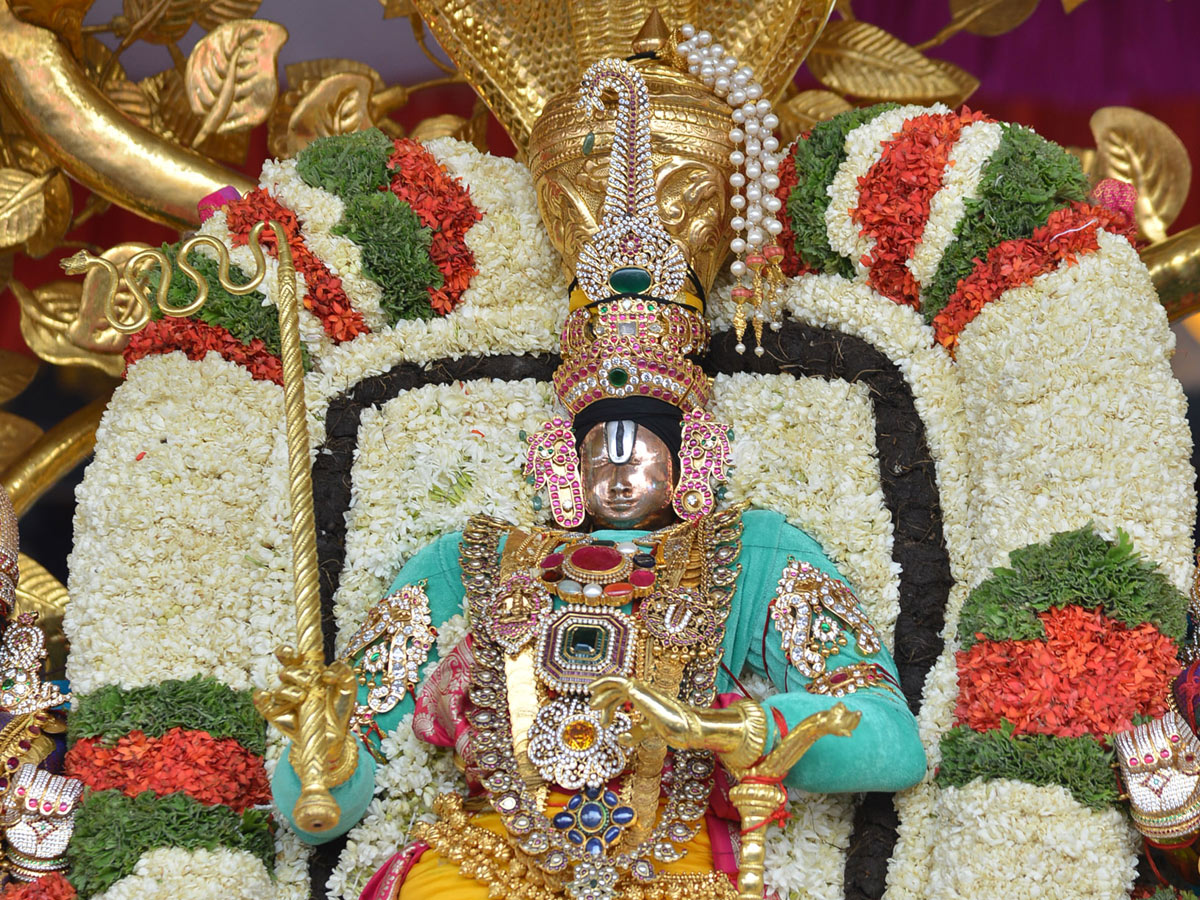 Tirumala Brahmotsavam Srivaru On Kalpavriksha Vahanam Photo Gallery  - Sakshi36