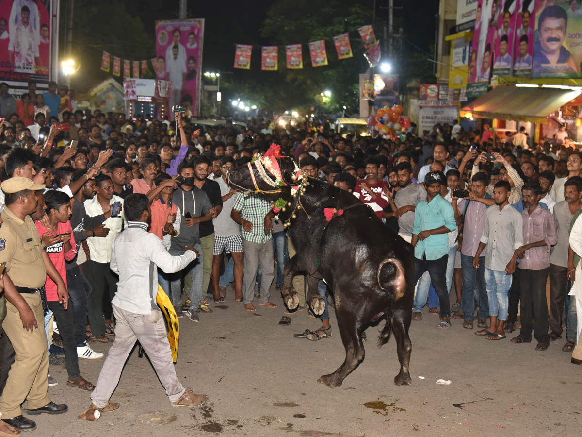 Sadar Festival in Telangana Photo Gallery - Sakshi2