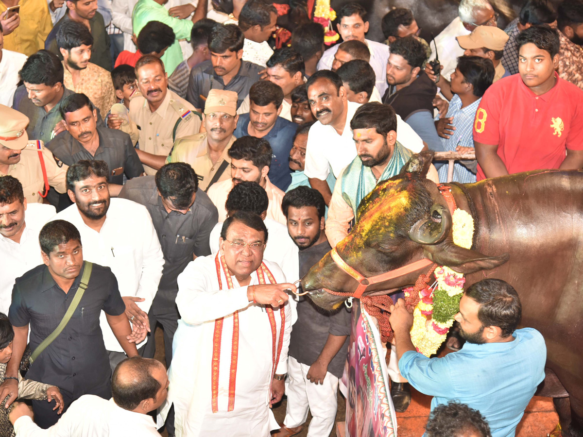 Sadar Festival in Telangana Photo Gallery - Sakshi4