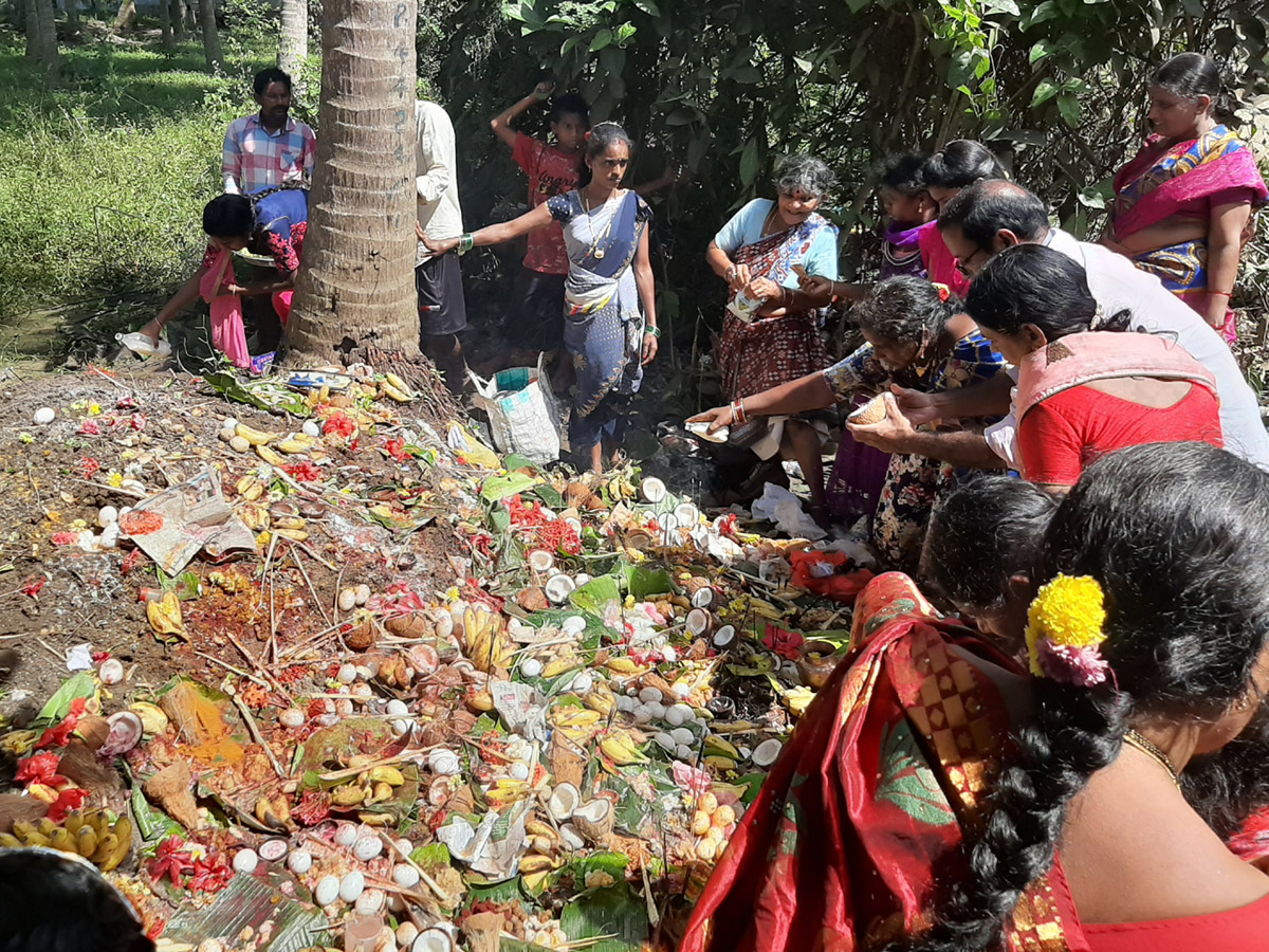 Telugu States Celebrating Nagula Chavithi Festival Photo Gallery - Sakshi17