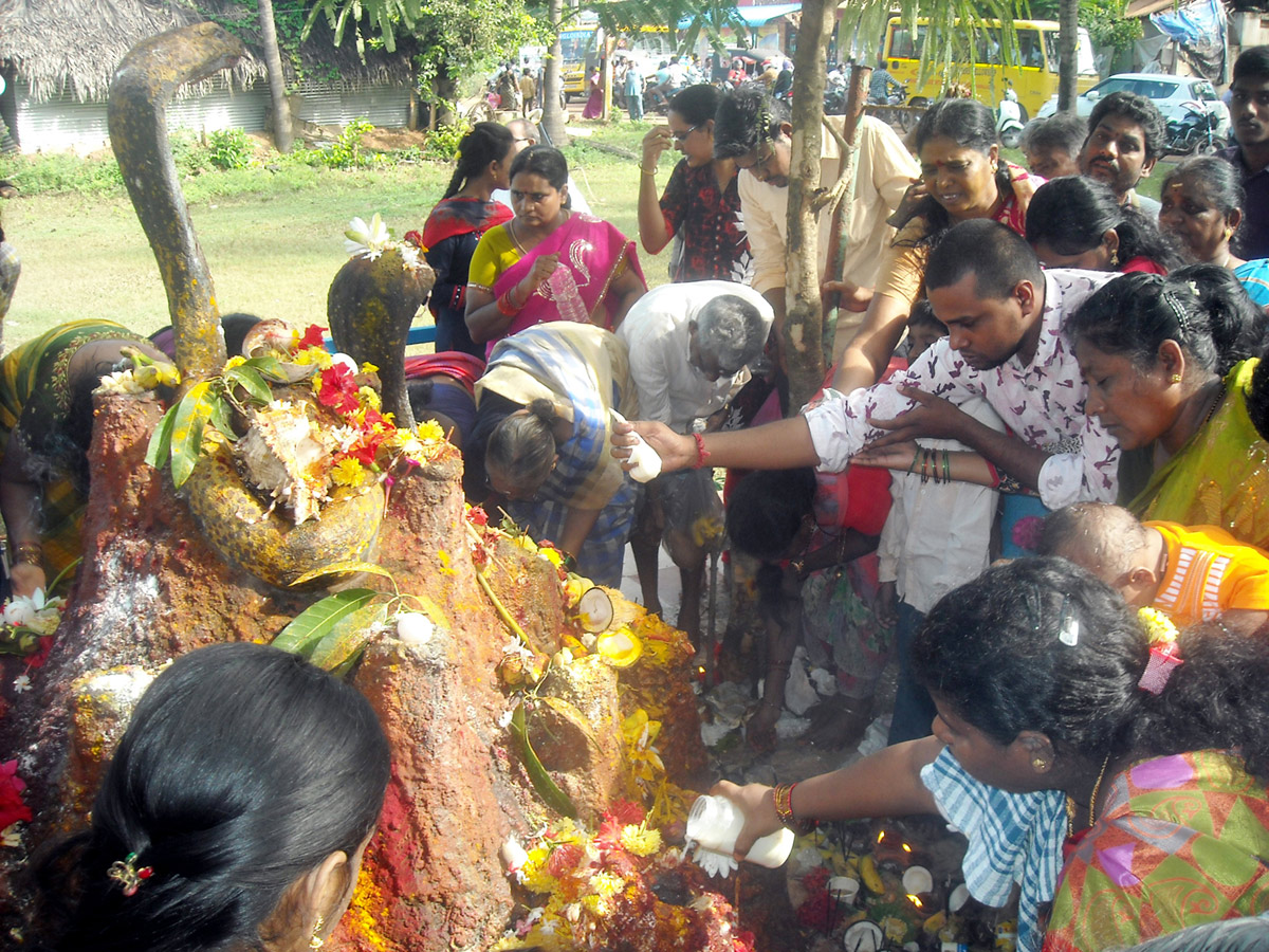 Telugu States Celebrating Nagula Chavithi Festival Photo Gallery - Sakshi22