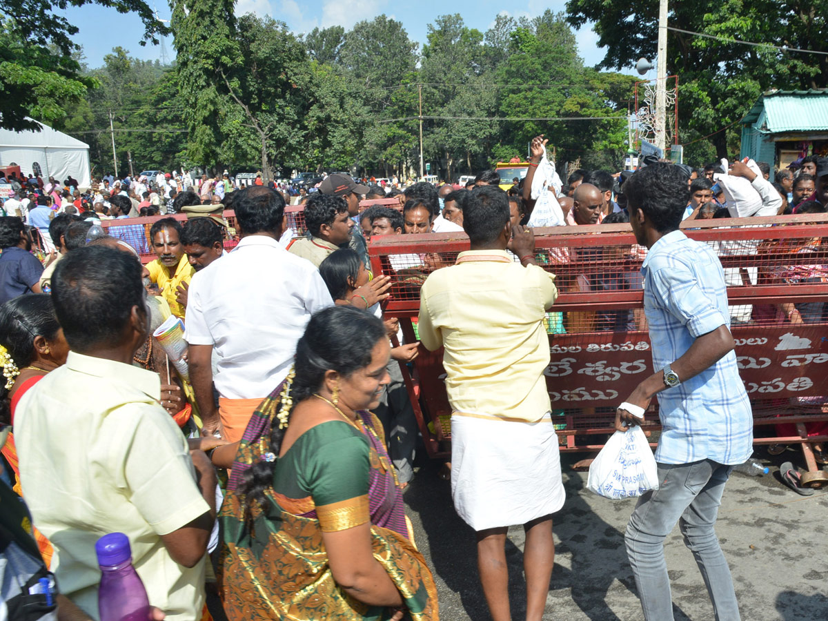 Tirumala Brahmotsavam Mohini Avatar Performed For Lord Venkateswara Photo Gallery - Sakshi13