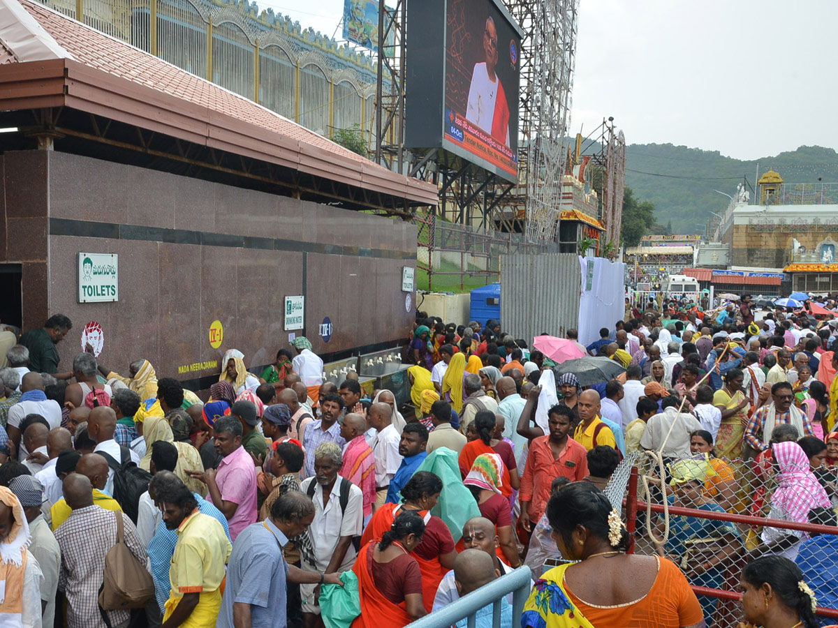 Tirumala Brahmotsavam Mohini Avatar Performed For Lord Venkateswara Photo Gallery - Sakshi30