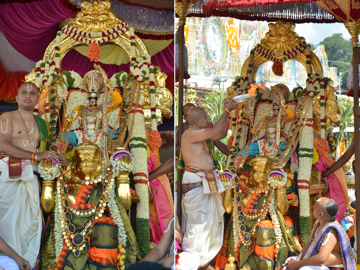 Hanumantha Vahanam Brahmotsavam At Tirumala Photo Gallery - Sakshi14