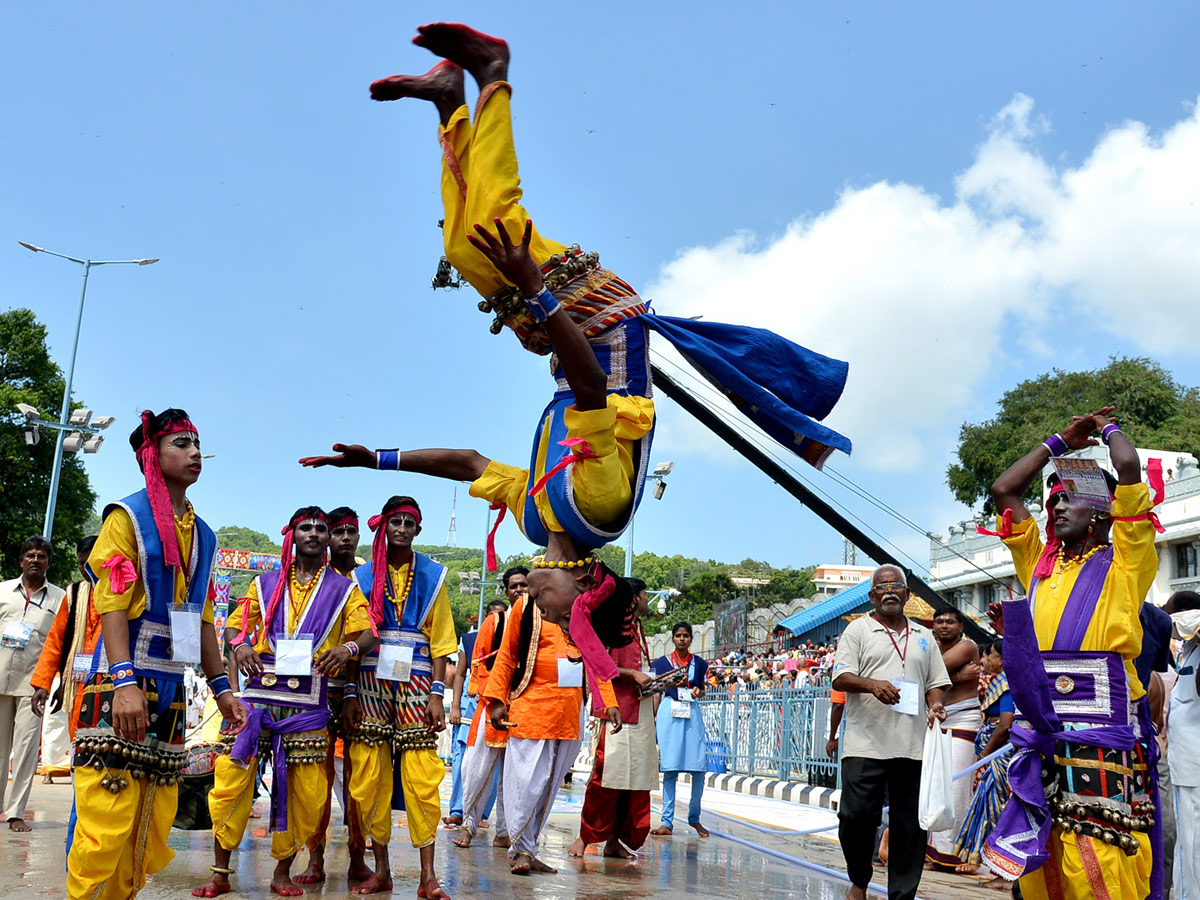 Hanumantha Vahanam Brahmotsavam At Tirumala Photo Gallery - Sakshi19