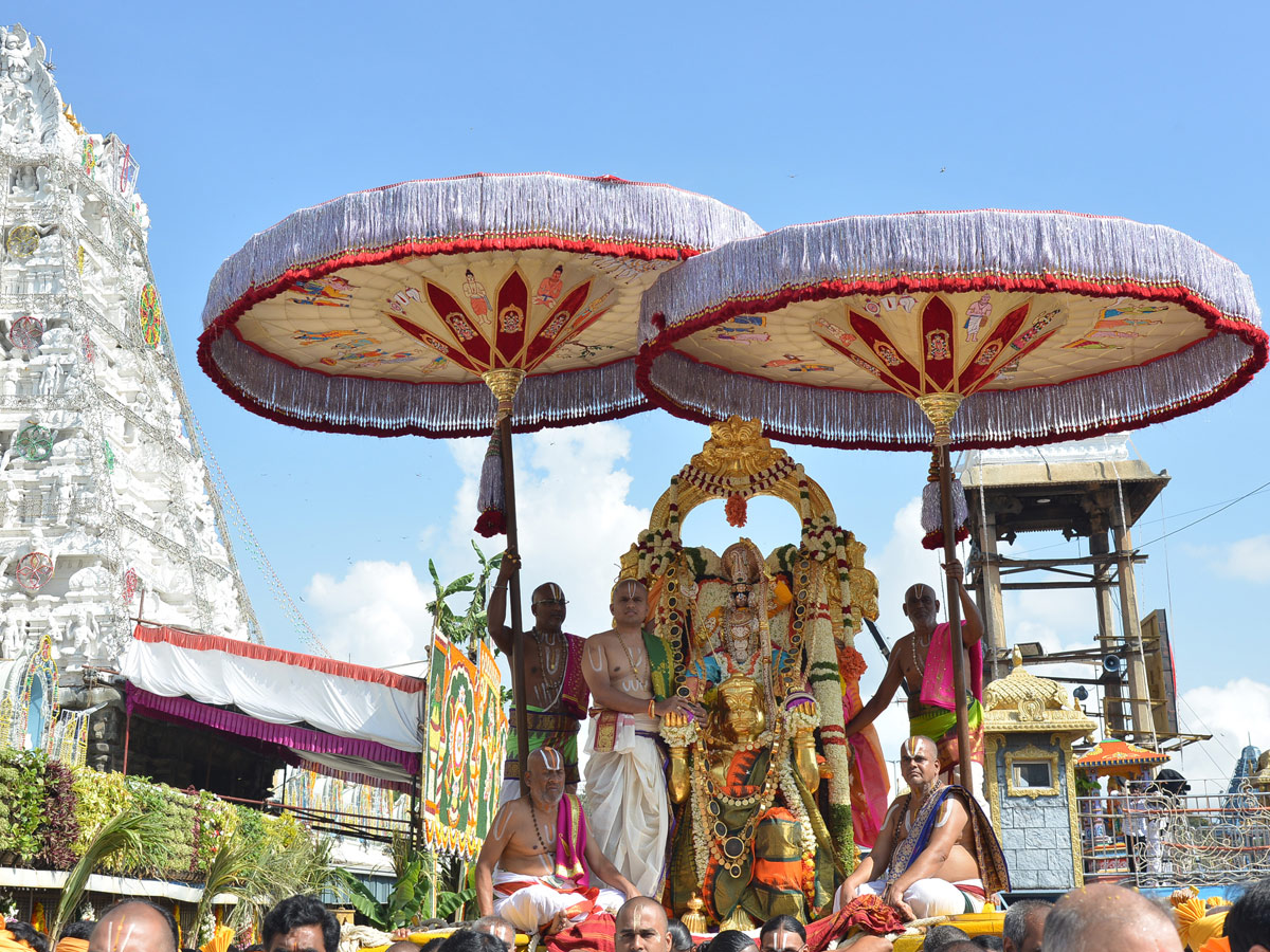 Hanumantha Vahanam Brahmotsavam At Tirumala Photo Gallery - Sakshi2