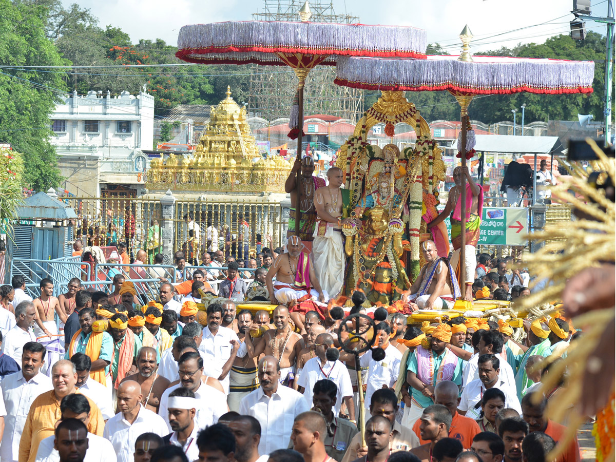 Hanumantha Vahanam Brahmotsavam At Tirumala Photo Gallery - Sakshi9