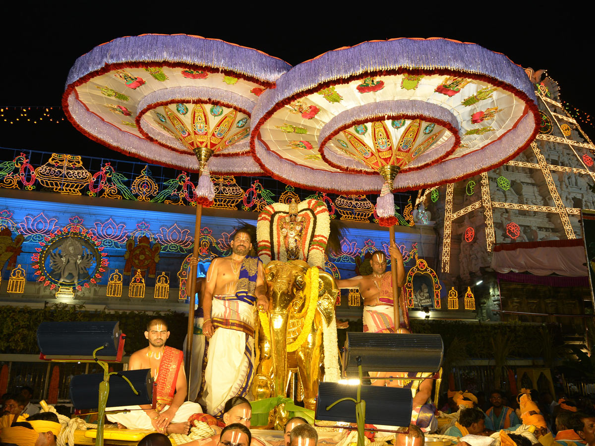 Tirumala Srivari Brahmotsavam Garuda Vaahana Seva Photo Gallery - Sakshi1