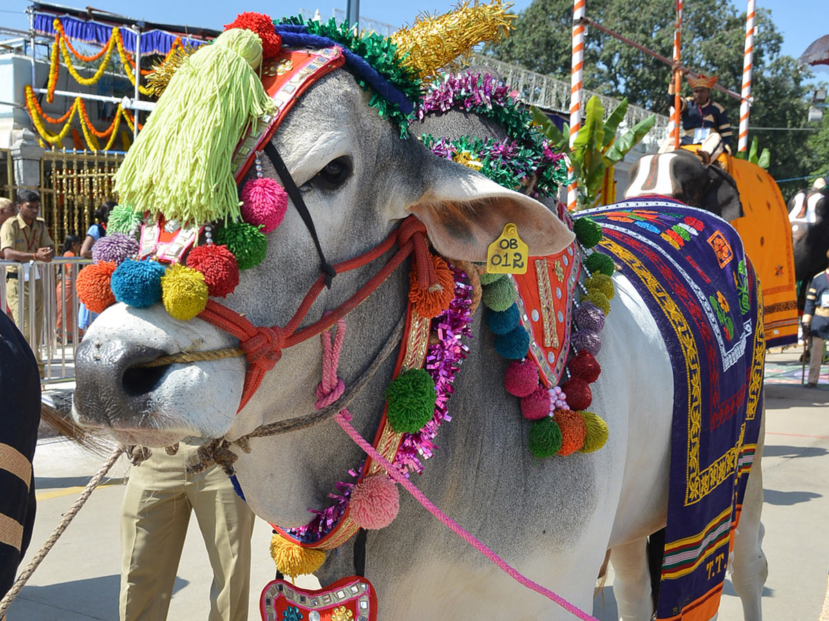 Tirumala Srivari Brahmotsavam Garuda Vaahana Seva Photo Gallery - Sakshi23