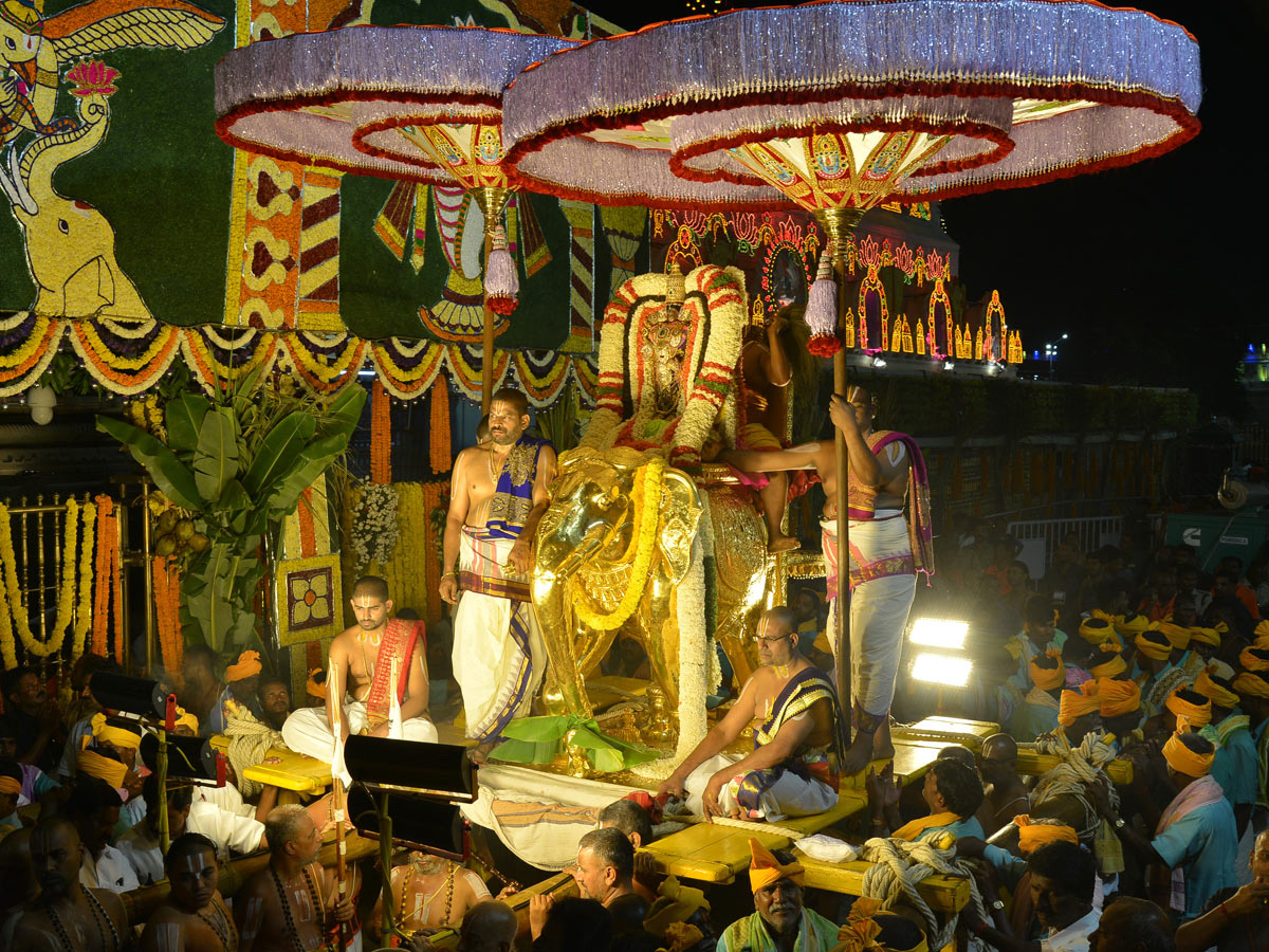 Tirumala Srivari Brahmotsavam Garuda Vaahana Seva Photo Gallery - Sakshi28