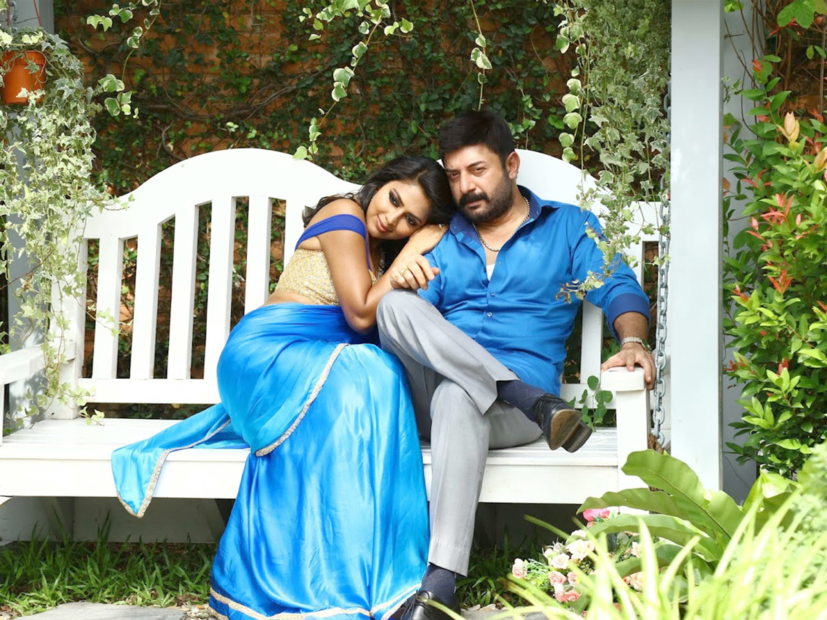 Bhaskar Oka Rascal Movie Stills Photo Gallery - Sakshi4