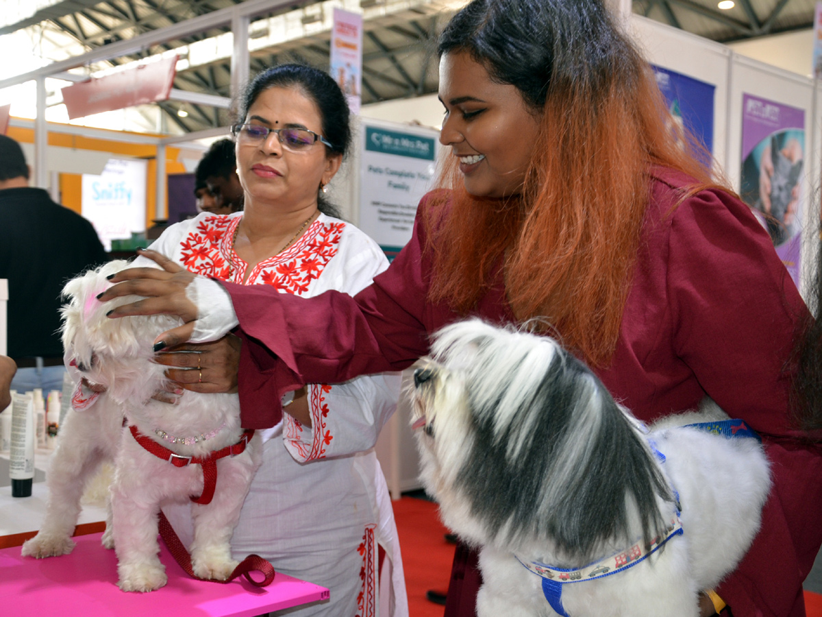 Petex India 2019 in Hitex Exhibition Center Photo Gallery - Sakshi8