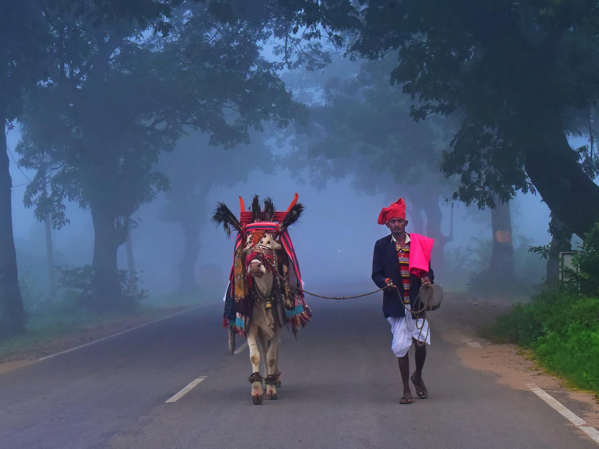 Best pics of The Week in AP and Telangana  November 17-11-2019 to November 23-11- 2019 - Sakshi24