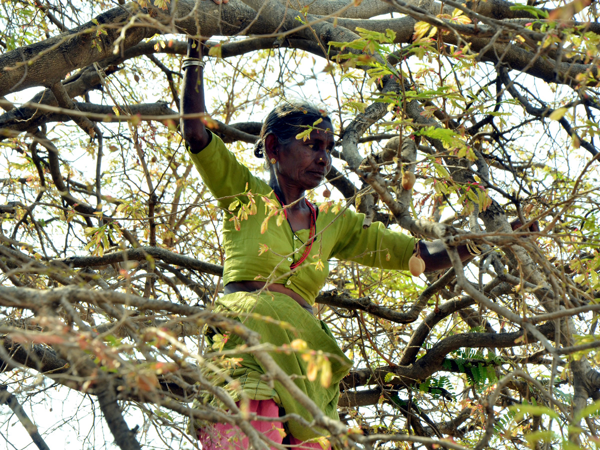 Best pics of The Week in AP and Telangana  November 17-11-2019 to November 23-11- 2019 - Sakshi13