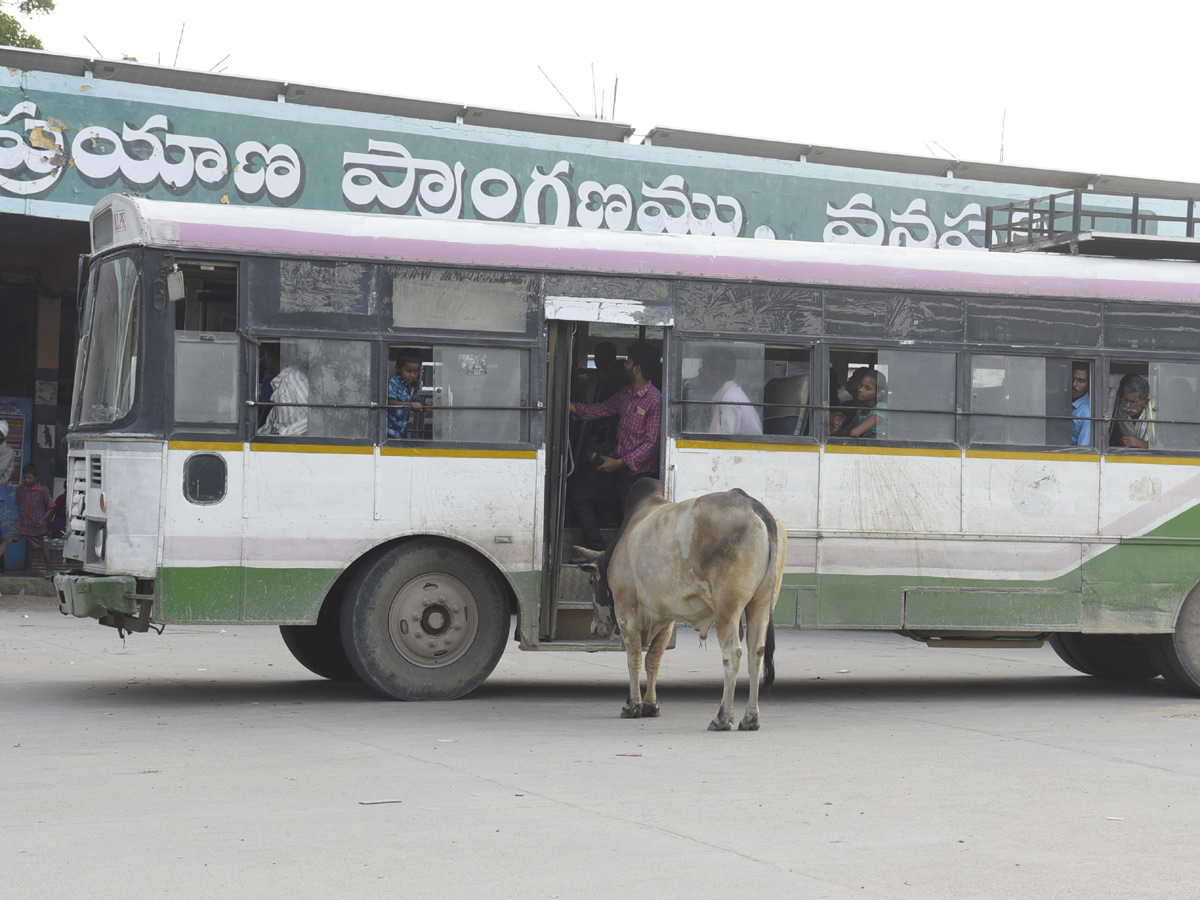 Best images of The Week in AP and Telangana  November 24-11-2019 to December 01-12- 2019 - Sakshi30