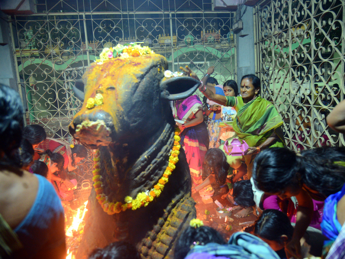 Karthika Masam Celebrations at Pushkar Ghat Rajahmundry Photo Gallery - Sakshi11