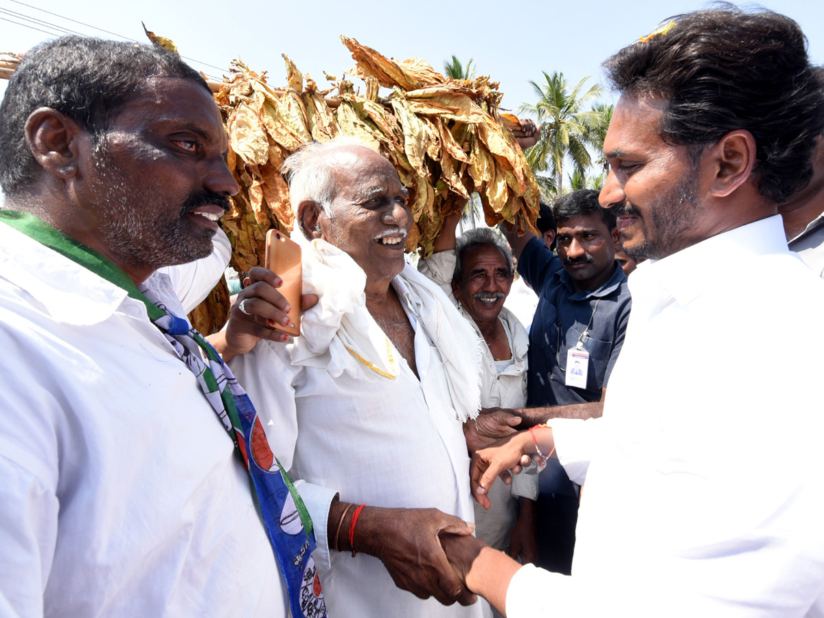 YS Jagan Praja Sankalpa Yatra Best Photo Gallery - Sakshi30