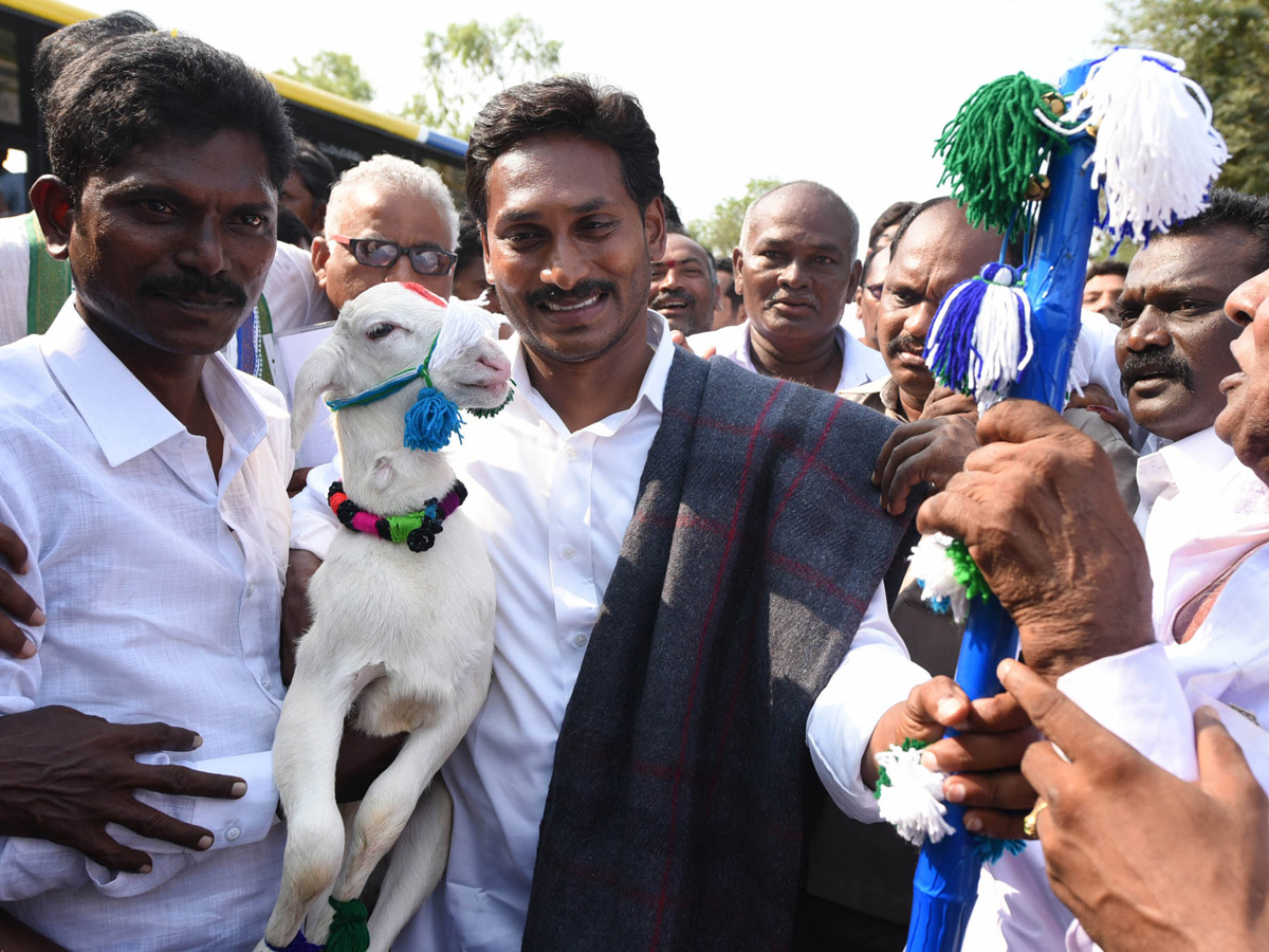 YS Jagan Praja Sankalpa Yatra Best Photo Gallery - Sakshi37