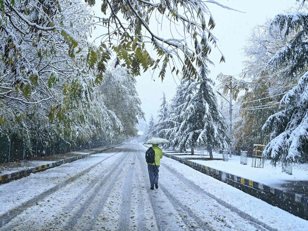 Heavy Snowfall Hits Jammu Kashmir Photo Gallery - Sakshi9